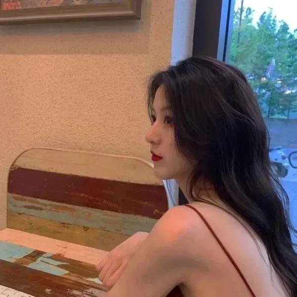 鸽之翼