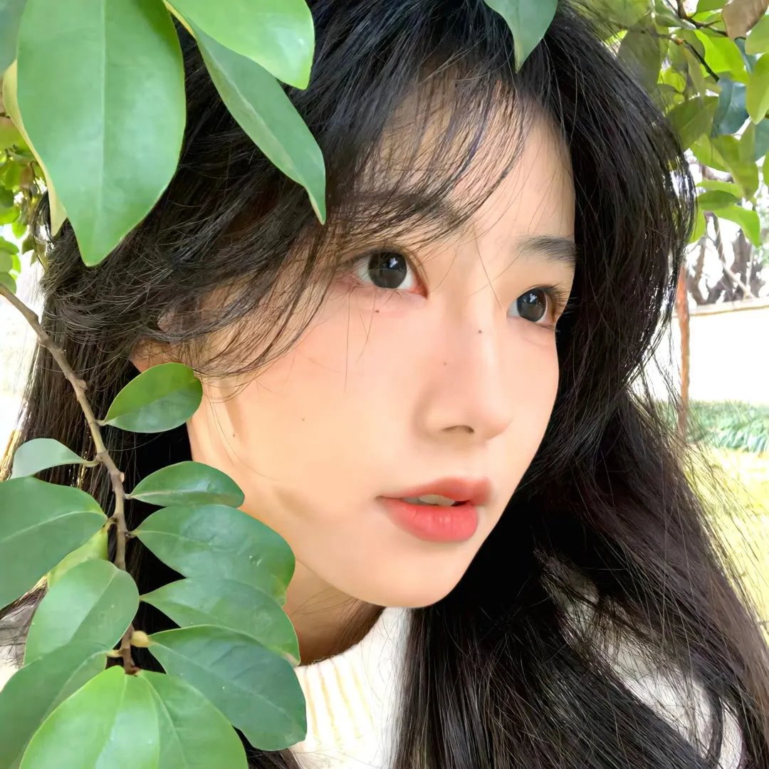 林来疯